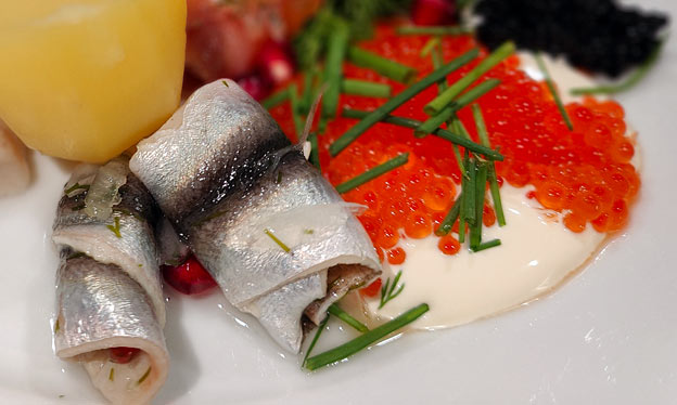 Baltic herring