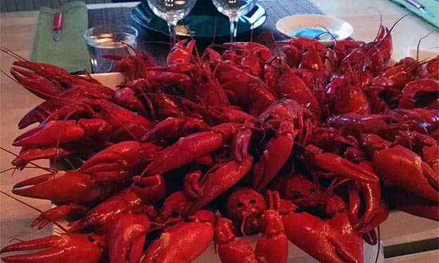Crayfish Party