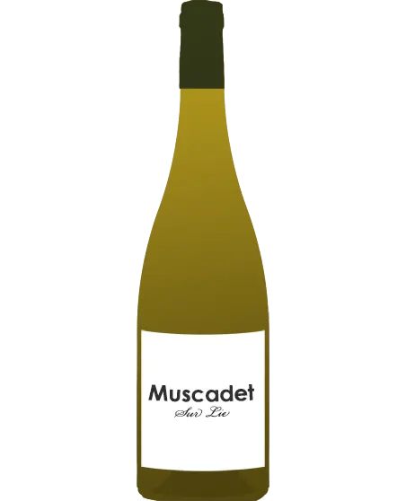 Muscadet Sèvre et Maine sur lie